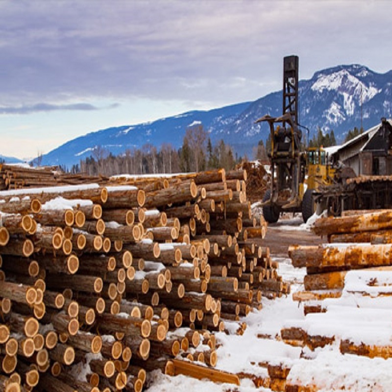 If there are tears on the surface of the wood after the chainsaw chain cuts the wood, does it mean that the chainsaw chain needs to be sharpened?